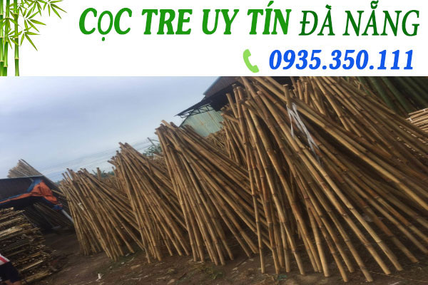 Cọc tre tại Đà Nẵng